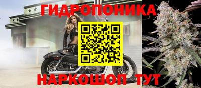 спиды Лесосибирск