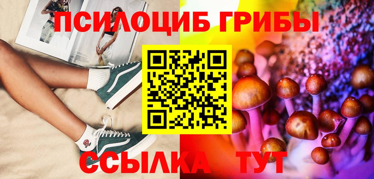 Волжский  Псилоцибиновые грибы Magic Shrooms  Вход с VPN  Галлюциногенные грибы Cubensis 